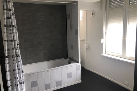 Vue n°3 Appartement 3 pièces T3 F3 à louer - Lille (59000)