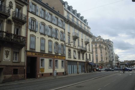 Vue n°2 Appartement 5 pièces T5 F5 à louer - Strasbourg (67000)
