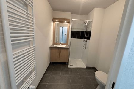 Vue n°2 Appartement 2 pièces T2 F2 à louer - Tournefeuille (31170)