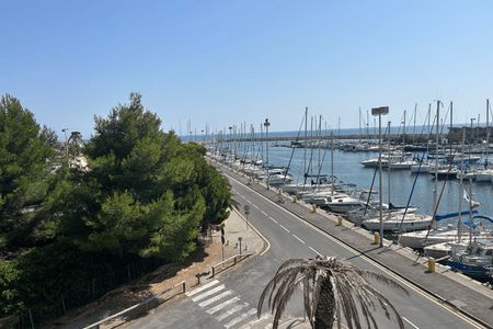 Vue n°2 Studio meublé T1 F1 à louer - Saint Cyprien Plage (66750)