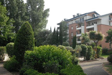 appartement 2 pièces à louer TOULOUSE 31200 46.2 m²