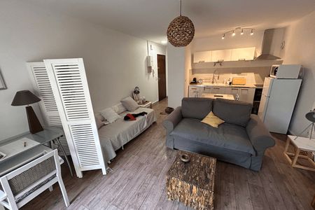 appartement-meuble 1 pièce à louer MONT-DE-MARSAN 40000 29.3 m²