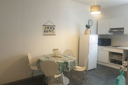 Vue n°2 Appartement meublé 2 pièces T2 F2 à louer - Grenoble (38000)