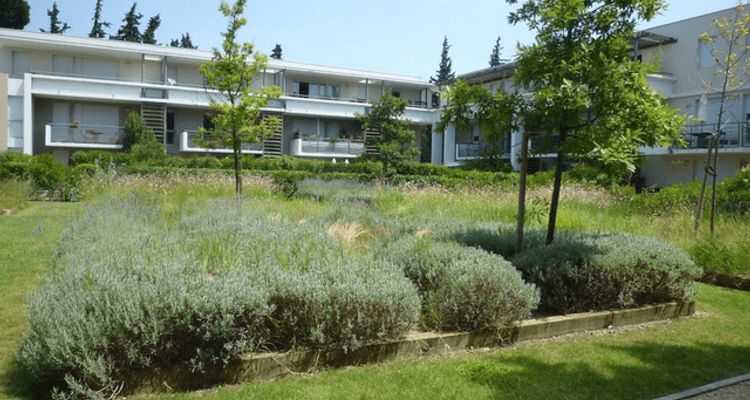 Vue n°1 Appartement 2 pièces T2 F2 à louer - Montfavet (84140)