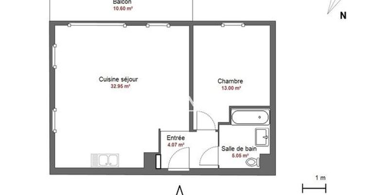 appartement 2 pièces à louer SAINT GENIS POUILLY 01630 55.06 m²