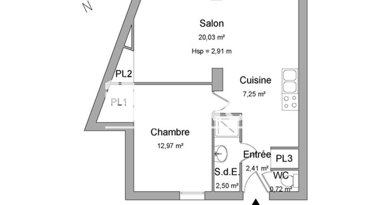 appartement 2 pièces à vendre Villeurbanne 69100 46.49 m²