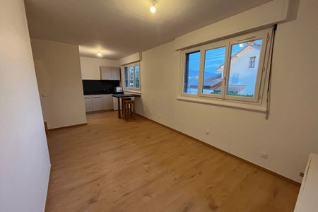 appartement-meuble 1 pièce à louer GAILLARD 74240 24.5 m²