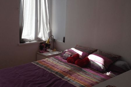 Vue n°3 Appartement 2 pièces T2 F2 à louer - Lille (59800)