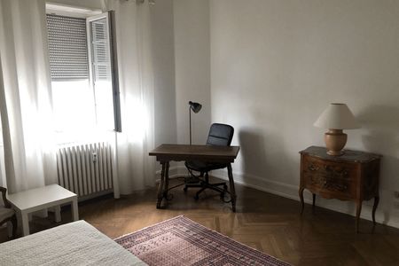 Vue n°2 Appartement meublé 2 pièces T2 F2 à louer - Strasbourg (67000)