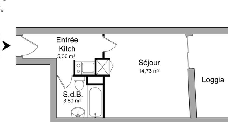 appartement 1 pièce à louer GRENOBLE 38000 23.9 m²