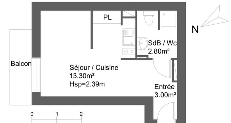 appartement 1 pièce à louer TOULOUSE 31000 19.1 m²