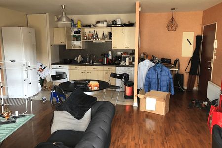 appartement 2 pièces à louer AMBOISE 37400 55.1 m²