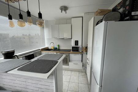 Vue n°3 Appartement 3 pièces T3 F3 à louer - Nancy (54000)