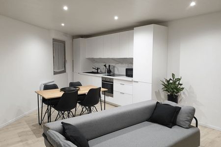 appartement-meuble 2 pièces à louer CHARLEVILLE MEZIERES 08000 55.1 m²