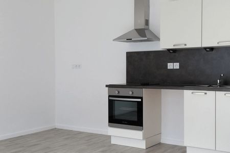 appartement 3 pièces à louer SAINT JEAN DE BRAYE 45800 59.1 m²