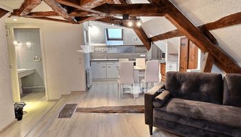 appartement-meuble 1 pièce à louer CULOZ 01350